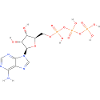 Adenosintriphosphat Molekül - Farbige Struktur