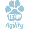 Team Agility