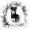 Pinscher,dwarf pinscher, painting,dog, graffiti