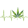 Cannabis Hemp THC 420
