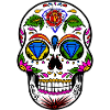 TheDavid Skull