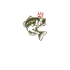 King des Persch Fishing