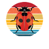 ladybird