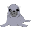 Seal - Seerobbe
