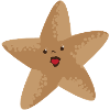 Starfish - Seestern