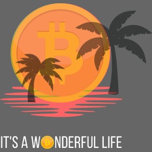 It´s a wonderful Bitcoin Life, Blockchain, Crypto