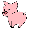 Cute Pig