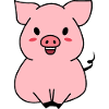 Cute Pig