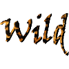wild