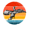 Cormoran