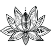 Lotus Blume