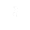Stunt Scooter