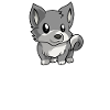 Kawaii Anime Wolf Wilderness Wolves