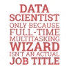 « Data Wizard » | Data Scientist