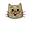 Cat Cat Face