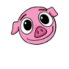 pig