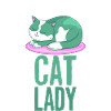 Cat Crazy Cats Lady Lady