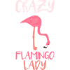 Flamingo Rose Rouge Animal