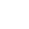 Brush Artist Rat