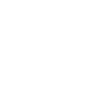 Brush Artist Rat