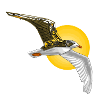 Steampunk Seagull