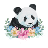 Pandabär Geschenk Blumen Panda