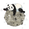 panda