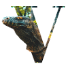 V Varan alphabet animals