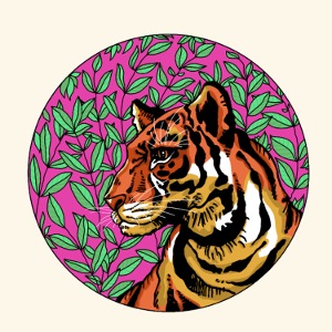 Tigre#1
