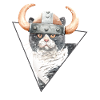 Viking Kitty Cat