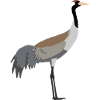 crane