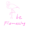 flamingo flamingos
