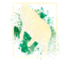 manatee