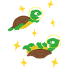 Turtles in space