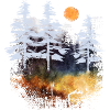 Fir darkness