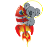 Koala in space