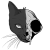 Schrödinger's Cat