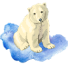 Eisbär