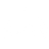 White ravens and Viking compass