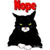 Nope, No, funny bad cat