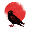 raven