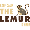 Keep Calm Lemur is here / Gift