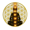 Flower of Life Meditation Chakras