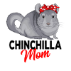 chinchilla