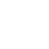 hummingbird