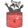 Waschbären Geschenk Waschbär