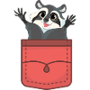 Waschbären Geschenk Waschbär