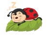 Sleeping Ladybug Kids Gift