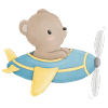 Bear on the plane