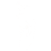 Fly
